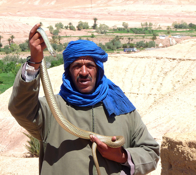 Berber Man with Snake