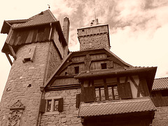 Chateau du Haut Koenigsbourg (23)