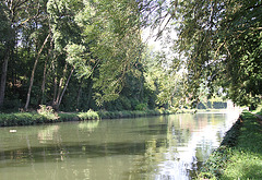 Canal du Loing entre Cepoy et Buges