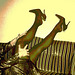 Mon amie / My friend Lady Roxy - Sofa et talons hauts / Chesterfield & high heels. Sepia postérisé