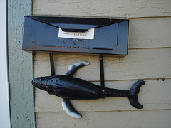 Courrier poisonneux / Fishing mail - Pocomoke. Maryland. USA - 18 juillet 2010.