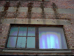 Antique market window / Fenêtre du marché d'antiquités - Bastrop, Louisiana. USA - 8 juillet 2010 - - Peinture à l'huile postérisée
