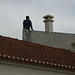 A-dos-Ruivos, a watcher on the roof
