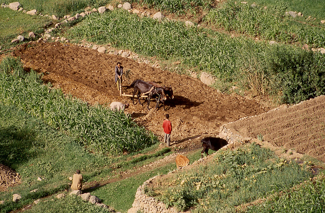 1993-Maroc-061(1)R