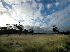 Landscape in eastern Tasmania