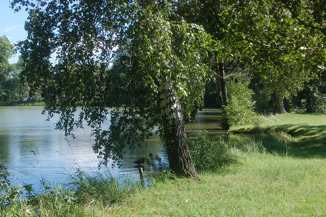 benko apud lago