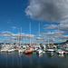 Marina in Hobart