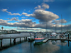 Marina in Hobart