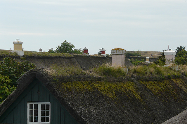 Über den Dächern von Sønderho