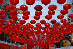 Chinese New Year 2010