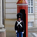Copenhagen 11 Guardsman Amalienborg's Palace 3