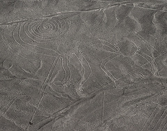 Nazca  LinesMonkey