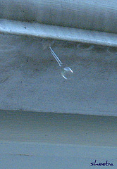 Raindrop falling from gutters...