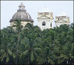 Dome and palms