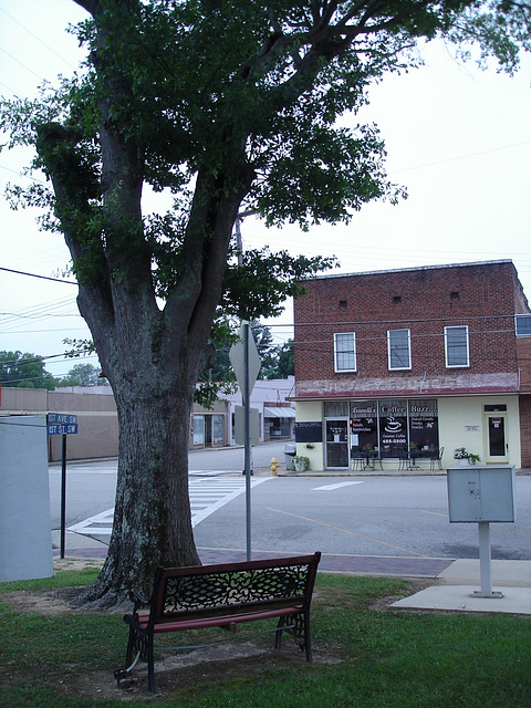 Leonelli's coffee buzz bench /  Banc buzzien - Hamilton, Alabama. USA - 10 juillet 2010.