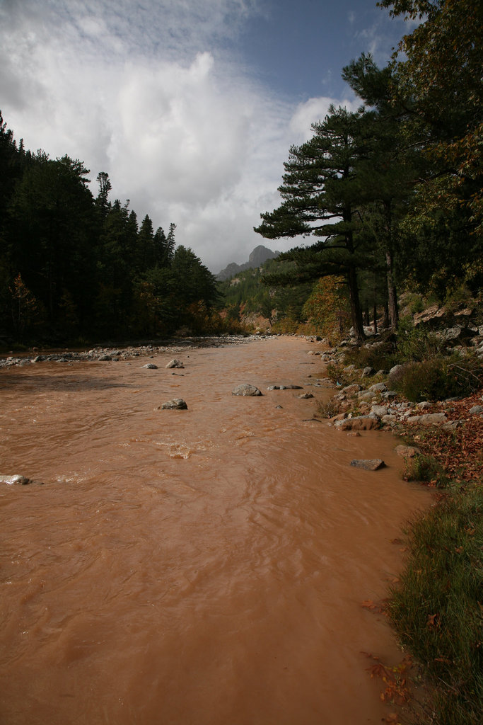 Flooded river - Turkey 2010