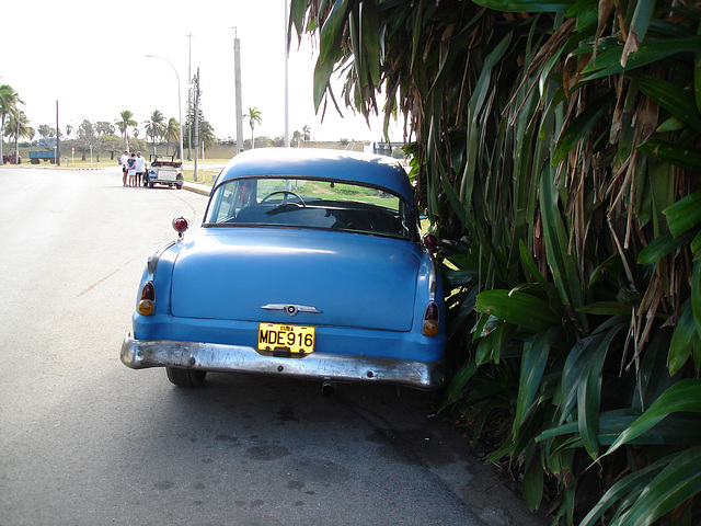 Varadero, CUBA. 3 février 2010