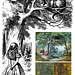 Alice & Cheshire Cat by Tenniel, Forests by Hill and Warren
