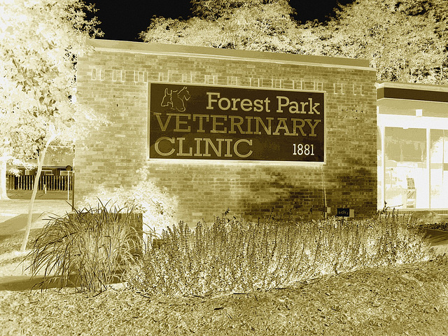 Forest park veterinary clinic / Columbus, Ohio. USA - 25 juin 2010- Négatif RVB sépiatisé