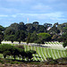 Military Cemetery on Point Loma (2153)