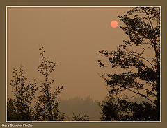 Sun and Forest Fire Smoke