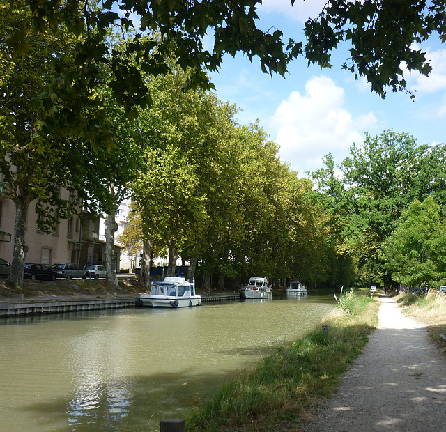 Canal du Midi à Carcassonne