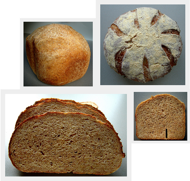 Broa/Pão de milho (integral), volkoren maïsbrood