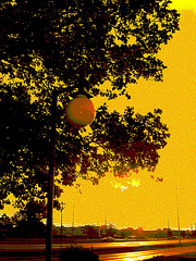 Lever de soleil / Sunrise -  Columbus, Ohio. 25 juin 2010- Sepia postérisé