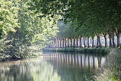 Canal du Midi après l'écluse de Jouarre