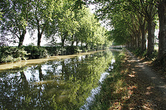 Canal du Midi après l'écluse de Jouarre