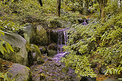 Waterfall – Nitobe Memorial Garden, Vancouver, B.C.