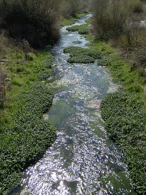 A Río Genil 1