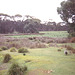 1997-07-23 111 Aŭstralio, Kangaroo Island