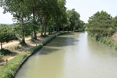 Canal du Midi près de Puichéric