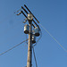 Prises électriques / Electric captures - Hillsboro, Texas - USA