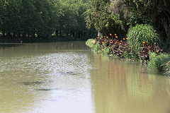 Ecluse de l'Aiguille - Canal du Midi