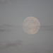 20100921 8295Tw [D~NVP] Mond, Zingst, Bodden