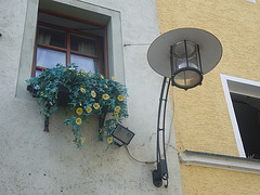 Blumenfenster mit Lampe