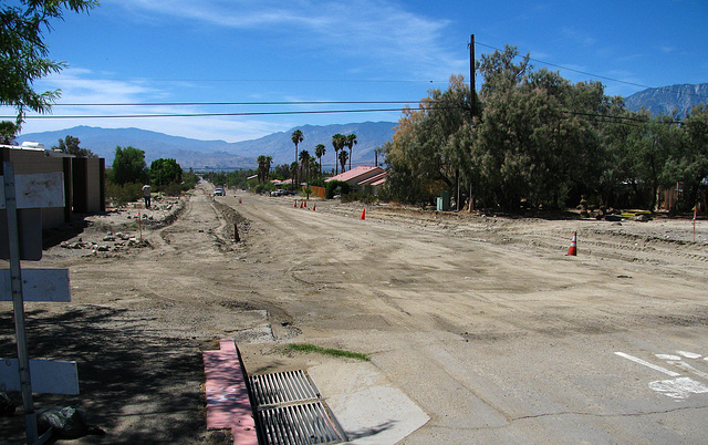 Cactus Drive Reconstruction (2121)