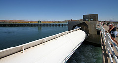 Imperial Dam (8008)