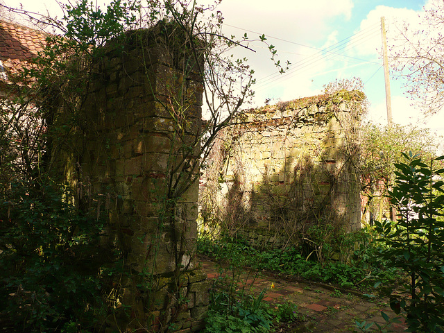eye abbey, c16 walls