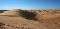 Algodones Dunes Near Glamis (8025)