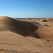 Algodones Dunes Near Glamis (8025)