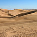 Algodones Dunes Near Glamis (8026)