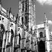 Canterbury X100 Cathedral 3