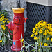 Fire Hydrant With Flowers – Somerville and Prince Albert Avenues, Westmount, Québec