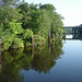 Pocomoke scenic river - Maryland, USA - 18 juillet 2010