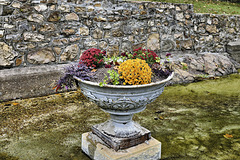 A Planter with Punch – Berkeley Springs, West Virginia