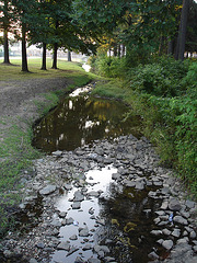 Réveil du ruisseau / Stream awakening - Hillsboro, Texas. USA - 27 juin 2010