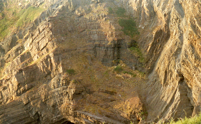 Hartland cliffs